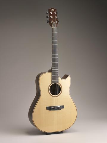 Steel String with Cutaway